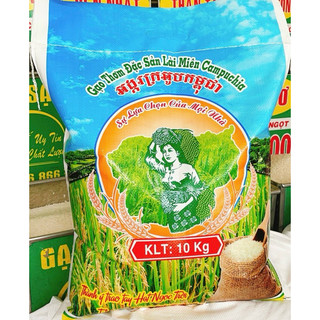 Lài Miên Xanh Cô Gái bao 25 kí dẻo mềm ngon cơm