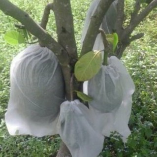 Set 100 Túi Bọc Ổi Bưởi Xoài Na( cam kết tái sử dụng nhiều mùa)...- Siêu Rẻ- HÀNG LOẠI 1- kizota