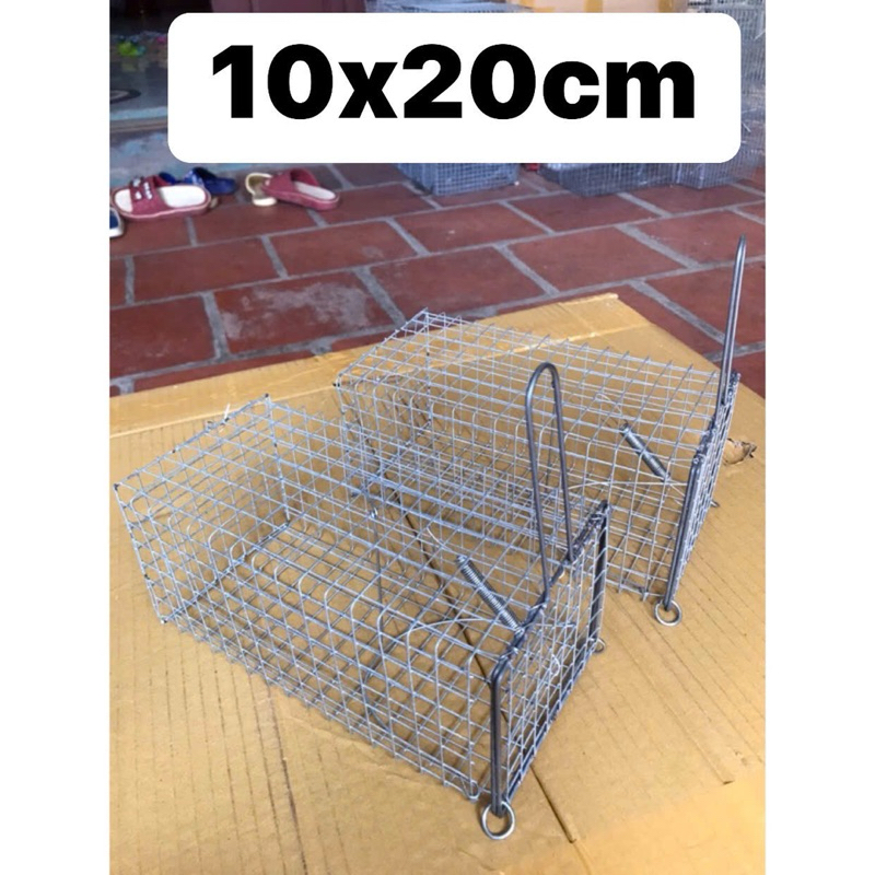 Combo 20 bẫy chuột 10x20 cm chì chống rỉ.