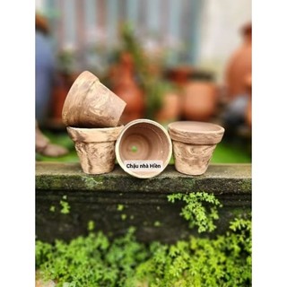 Chậu đất nung - chậu ly gờ miệng 7, cao 6