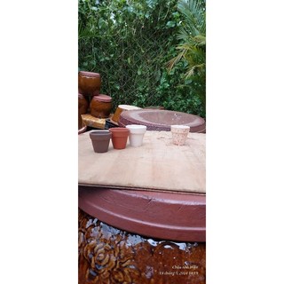 Chậu đất nung - chậu ly gờ miệng 5, cao 5