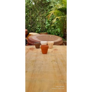Chậu đất nung - chậu ly gờ miệng 5, cao 5