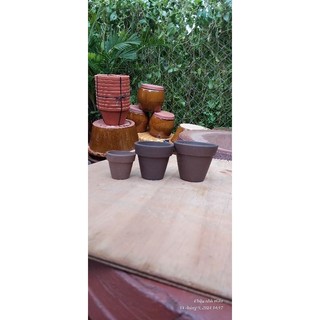 Chậu đất nung - chậu ly mini đủ size