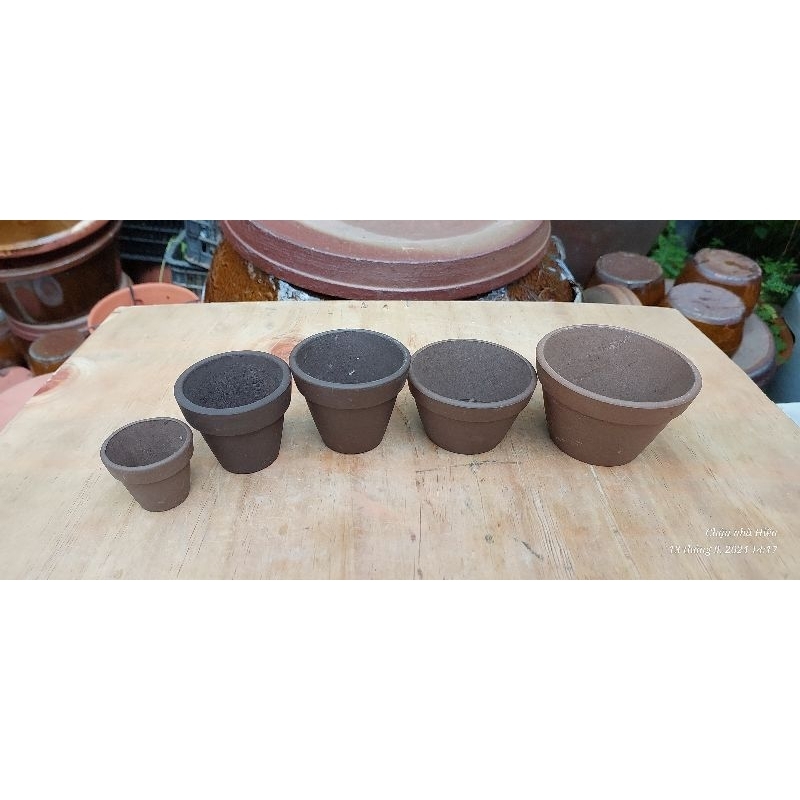 Chậu đất nung - chậu ly mini đủ size