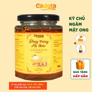 Mật Ong Ngâm Đông Trùng Hạ Thảo Ký Chủ Khô, Thương Hiệu Cadota