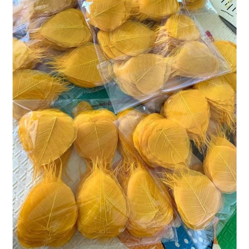[Giao hàng từ 20 lá] Xương Lá Bồ Đề màu Vàng, Trắng làm tranh, viết Thư Pháp