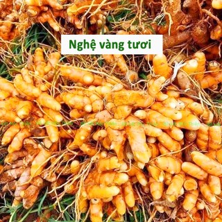 Tinh bột nghệ vàng nguyên chất 500g