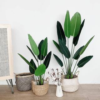 Cây chuối giả 1m2