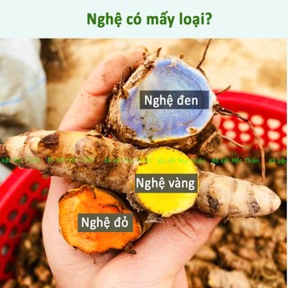 Tinh bột nghệ vàng nguyên chất 500g