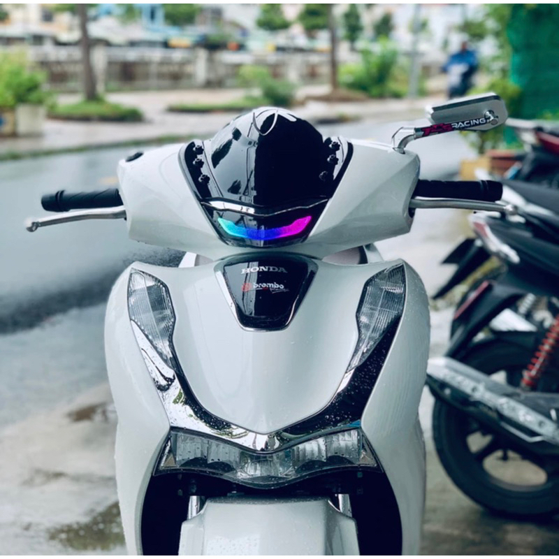 Mão , Chắn gió SHVN 2020 - 2025