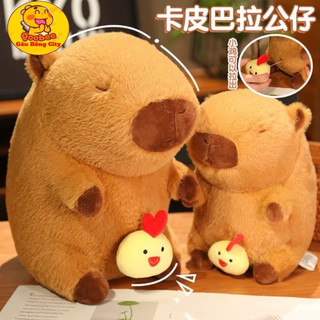  Gấu Bông Chuột Lang Nước Capybara Rút Gà - Capybara Nhồi Bông Cao Cấp - Capibara 
