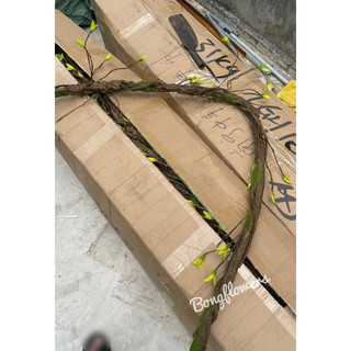 Thân cây leo giả dài 1m7 trang trí decor siêu đẹp