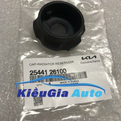 Nắp bình nước phụ Hyundai Eon 2011-2018