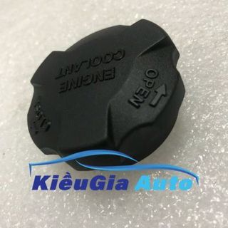 Nắp bình nước phụ Hyundai Eon 2011-2018