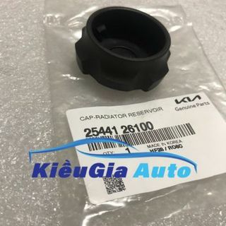Nắp bình nước phụ Hyundai Porter 2