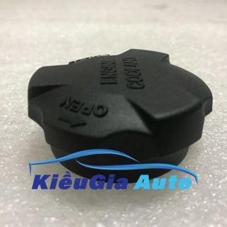 Nắp bình nước phụ Hyundai Porter 2