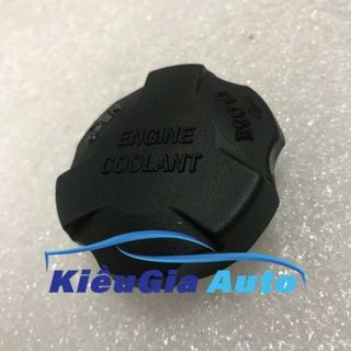 Nắp bình nước phụ Hyundai Porter 2