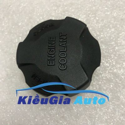 Nắp bình nước phụ Hyundai Porter 2