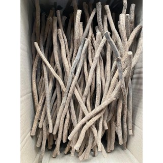 Phôi cầu t.huốc làm cầu góc, cầu thẳng lồng chim chào mào, phôi cầu làm cầu tử lồng bẫy lồng lụp