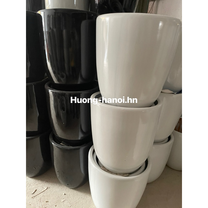 Chậu sứ trắng hoặc đen sz to