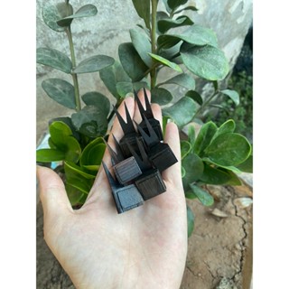 Xiên chuối gỗ mun lồng chim chào mào, chích chòe cao cấp dễ sử dụng Phụ kiện Kabosa