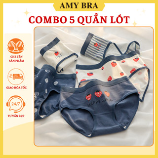 Combo 5 Quần Lót Nữ Cotton In Hình Dâu Tây Đỏ - Set 5 Quần Chip Cạp Vừa, Đáy May AMYBRA L8021