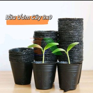  30 Túi ươm Bầu ươm hạt giống cây giống tiện lợi tại nhà😍 Chất liệu loại 1 dễ sử dụng 