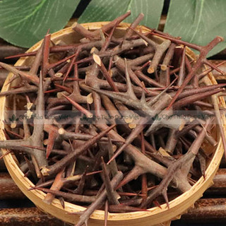 Gai bồ kết 1kg, tạo giác thích khô, thơm, sạch - Chợ Thảo Dược Việt