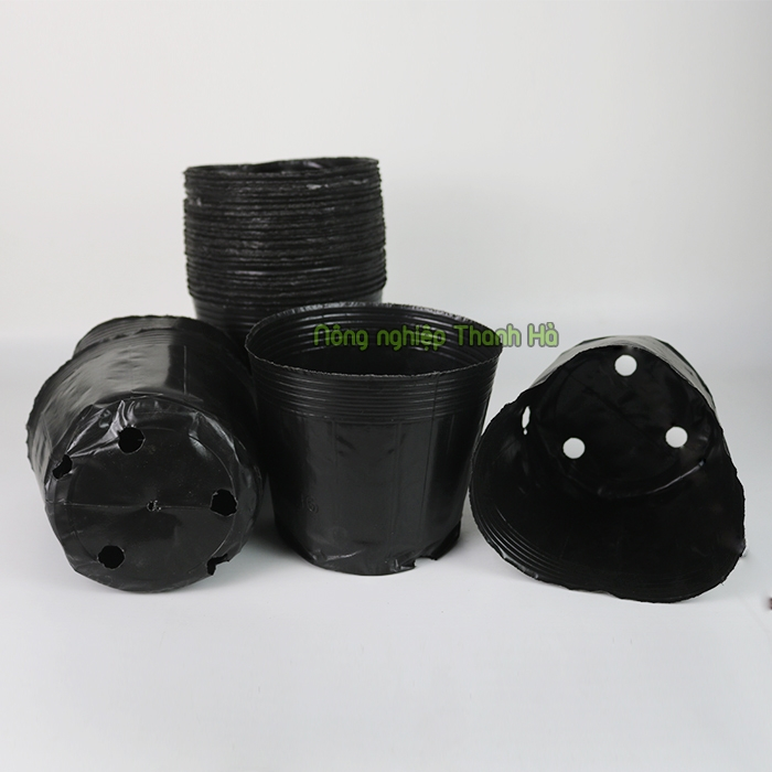 1kg chậu ươm cây 36x30 - CH8