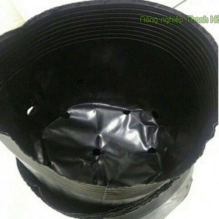 1kg chậu ươm cây 36x30 - CH8