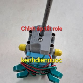 Máy bơm đơn Sinleader 12V dùng phun thuốc