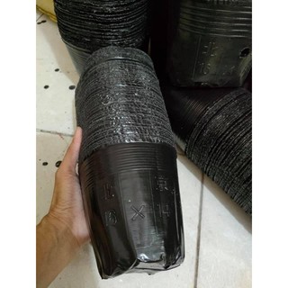 túi bầu ươm cây các size