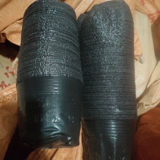 Bầu ươm cây 21x7 1kg 100 bầu