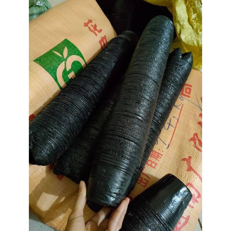 túi bầu ươm cây các size