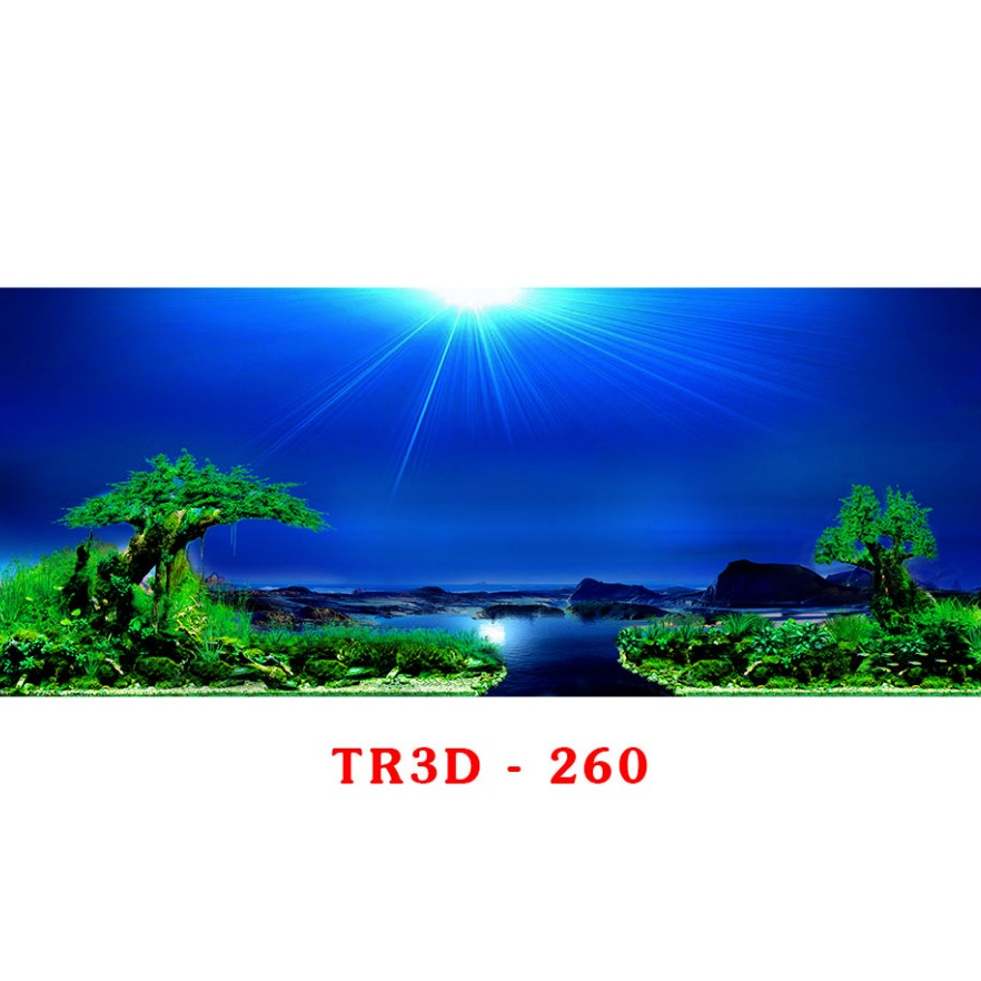 Tranh 3D Bể Cá Mẫu Thủy Sinh - Tranh Bể Cá Sẵn Keo Dán - Tặng Kèm Bộ Dụng Cụ Dán
