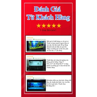 Tranh 3D Bể Cá Mẫu Thủy Sinh - Tranh Bể Cá Sẵn Keo Dán - Tặng Kèm Bộ Dụng Cụ Dán
