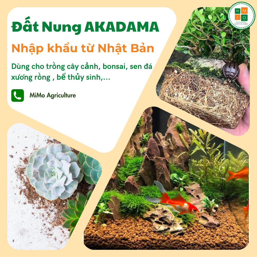 Đất nung Akadama trồng sen đá, hoa cây cảnh bonsai, đất nền thủy sinh - Nhập Khẩu Nhật Bản