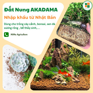 Đất nung Akadama trồng sen đá, hoa cây cảnh bonsai, đất nền thủy sinh - Nhập Khẩu Nhật Bản
