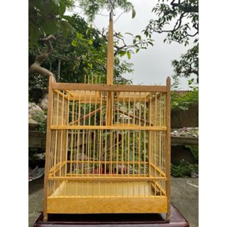  Lồng bẫy chim vành khuyên hút mật ốc mít hai cửa gỗ vàng Huế lò xo siêu nhạy kèm móc treo tiện lợi 