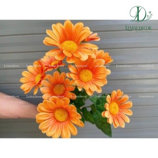 Cụm hoa đồng tiền 9 bông 25cm, hoa lụa trang trí