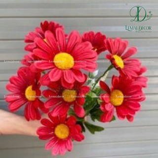 Cụm hoa đồng tiền 9 bông 25cm, hoa lụa trang trí