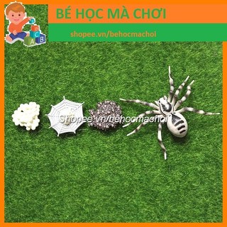 Mô hình Vòng đời sự phát triển của NHỆN