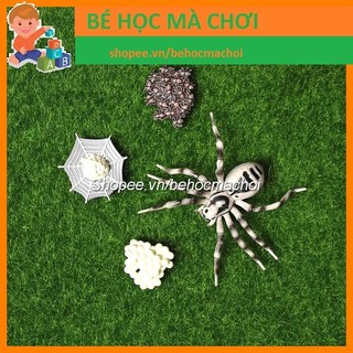 Mô hình Vòng đời sự phát triển của NHỆN