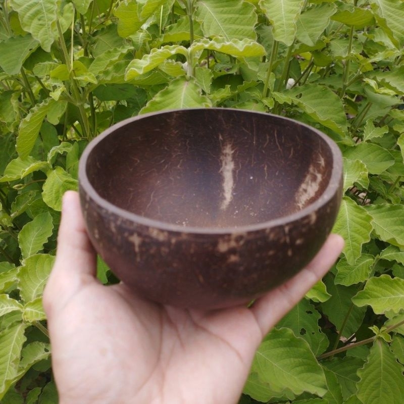 CHÉN GÁO DỪA BÁT DỪA ĂN SALAD SINH TỐ