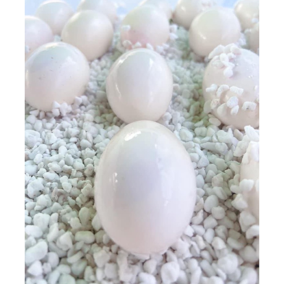 Đất Ấp Trứng, Lót Ổ Đẻ Cho Bò Sát (Bịch 400Gr)