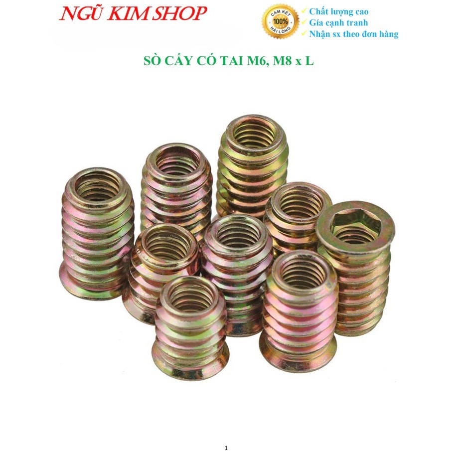 SÒ CẤY CÓ TAI _ SÒ SẮT CÓ VÀNH M6, M8