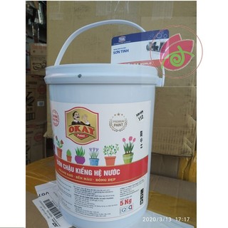 Sơn chậu cảnh 5 ký