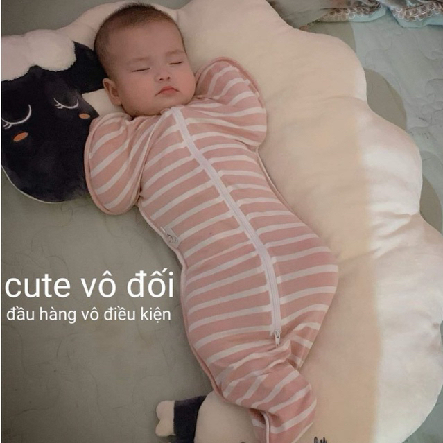 Nhộng chũn Cocoon HaChun