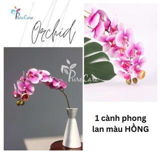 [ẢNH THẬT SHOP CHỤP] Hoa Phong lan Hoa giả Hoa lụa trang trí Tết