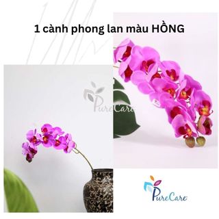 [ẢNH THẬT SHOP CHỤP] Hoa Phong lan Hoa giả Hoa lụa trang trí Tết
